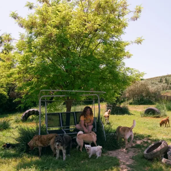 Virginia Millares y perritos bajo árbol en Guardería canina Damelapatita